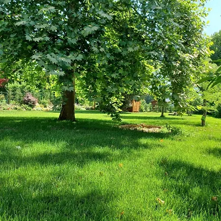 Villa The Pearl Of Balaton